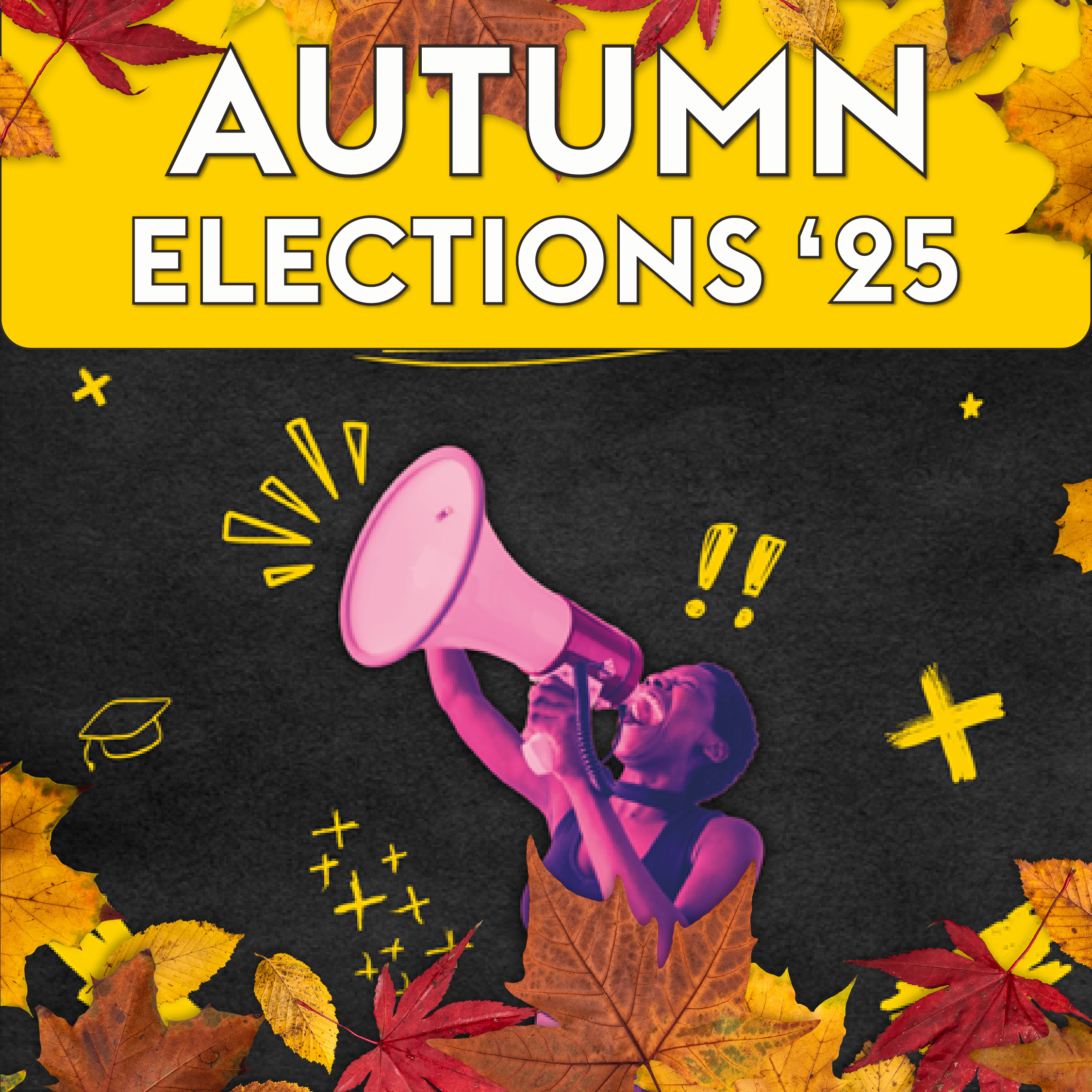 Find out all you need to know about conduct and reporting procedures during the elections here!