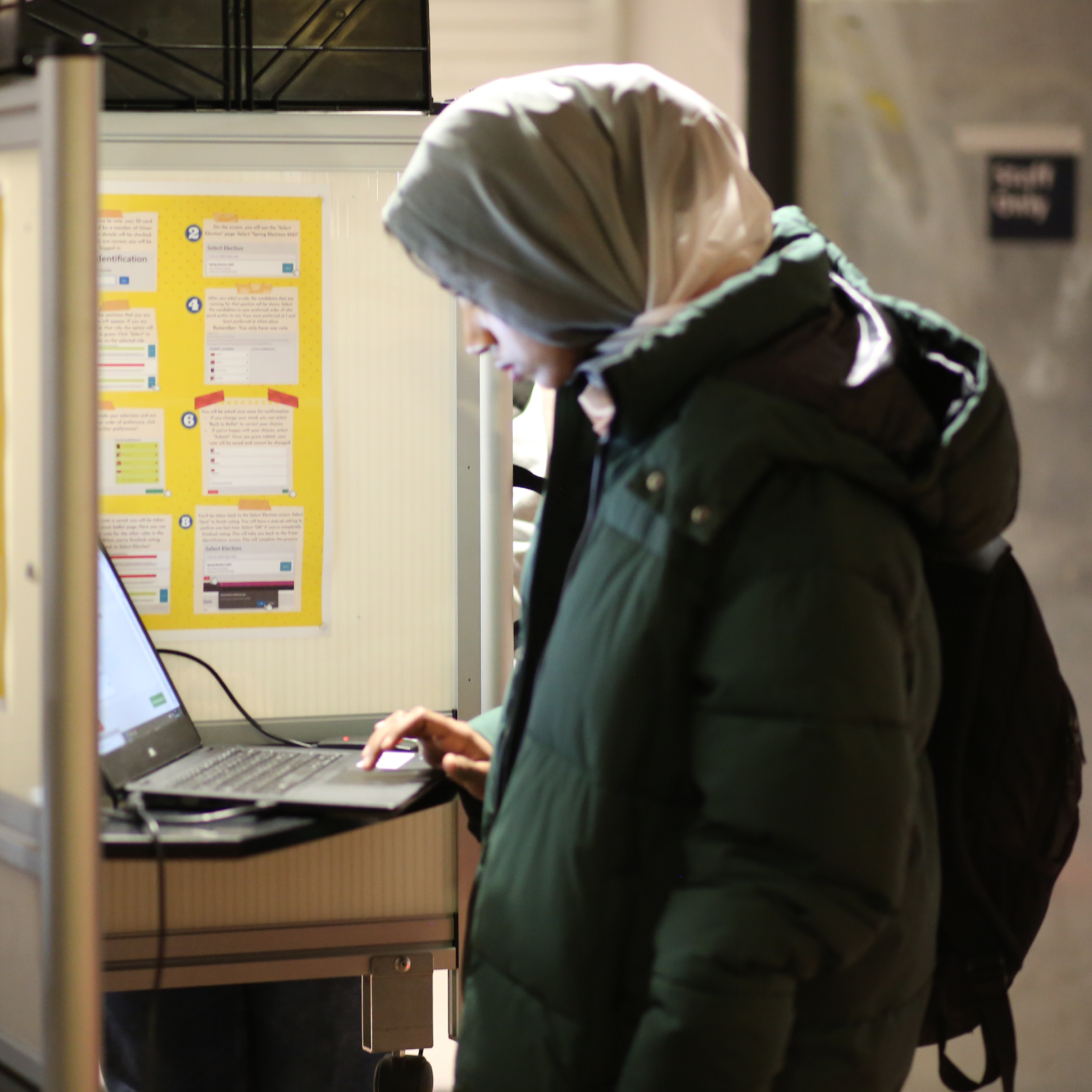 Women voting in elections