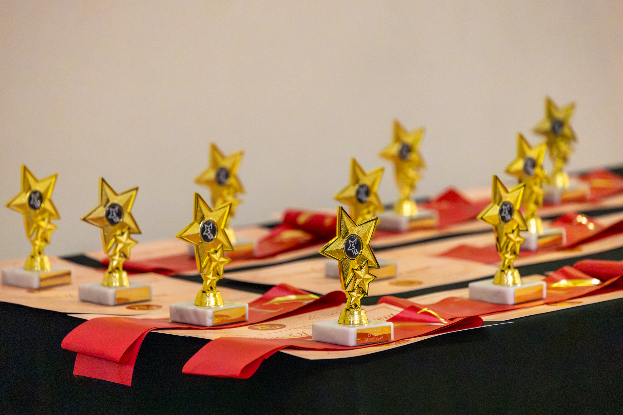 Join us in celebrating fellow students who have gone to great lengths to create a positive impact on your student experience.
